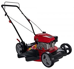 PowerSmart DB8621CR 21″ 2-in-1 170cc Gas Push Lawn Mower | The Clean ...